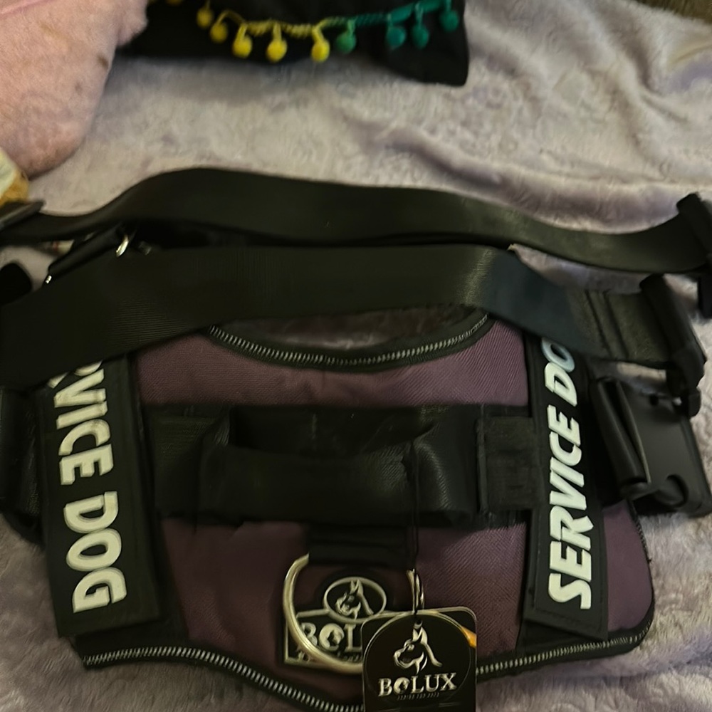 Purple service dog harness
